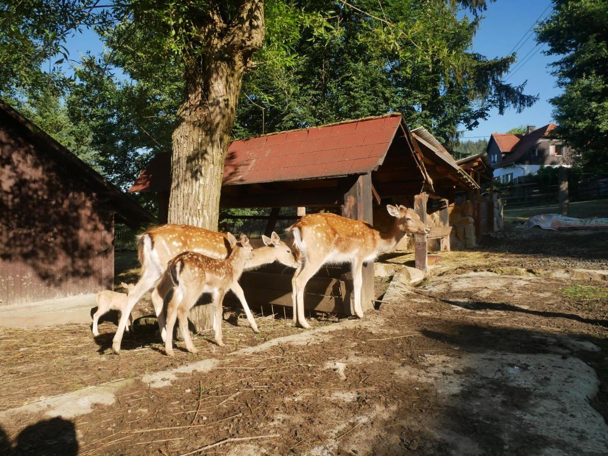 Penzion Obora ปรอสเชดนี เบชวา ภายนอก รูปภาพ